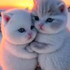 anlynguyen92