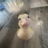 yenngocccday
