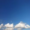arull_2402