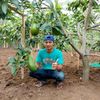arjunafruitss