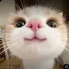aezebzeb