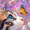nosycatstop10