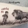 rk_pashtun01