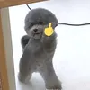 userowp3zfjzdj