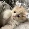 kaylin_227
