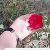 rp062vmksmz27840