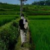 cies_shun