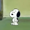 trumxiiii_nn