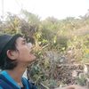 carlesbronson02