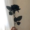 leo_aragus