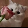 hij.jandbdh