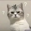 meohaman02