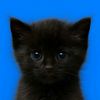 khaled_khasmiri