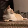 もなぎも【αD】