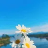 joyprovider