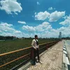 mnovfal