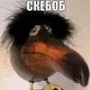 emakrytoimatvey