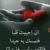 user9582669994679
