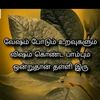 srikumar3330