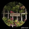 fatma08142