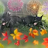 molly_und_max