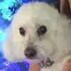 jenm_broncos