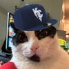 psroyal_on_yt