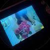 _layalll