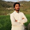 bahadarzeb94