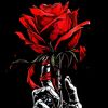 nashla_0421