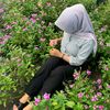 anisaa_0306
