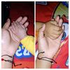 steffania0529