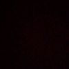 tilin_papupro