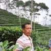 adisaputra2259