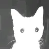 yanyaie_