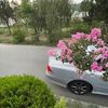hamxa_malak333