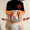 bruno_xxz6