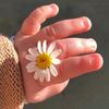 gwher_99_95