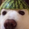 milk_enjoyer1