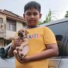 panimalarmalar12
