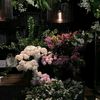 daisyblossom.1