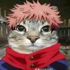 daksh56_