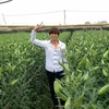 vn.nh.chu.vn.nh