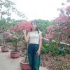 toothuy