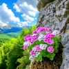 siirt_3356