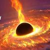 pheonix_amasive