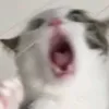 ulannalu007