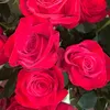 tatiana20_45