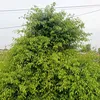 namnamdeptrai0