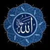 hiba_rabi883